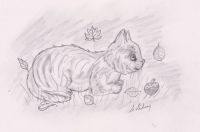 Kitten in Leaves